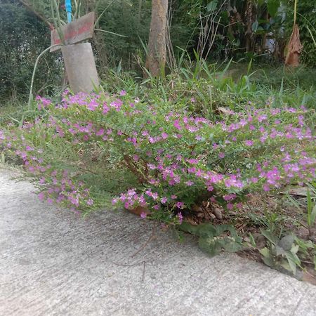 Koh Mook Bamboo Bungalows Экстерьер фото