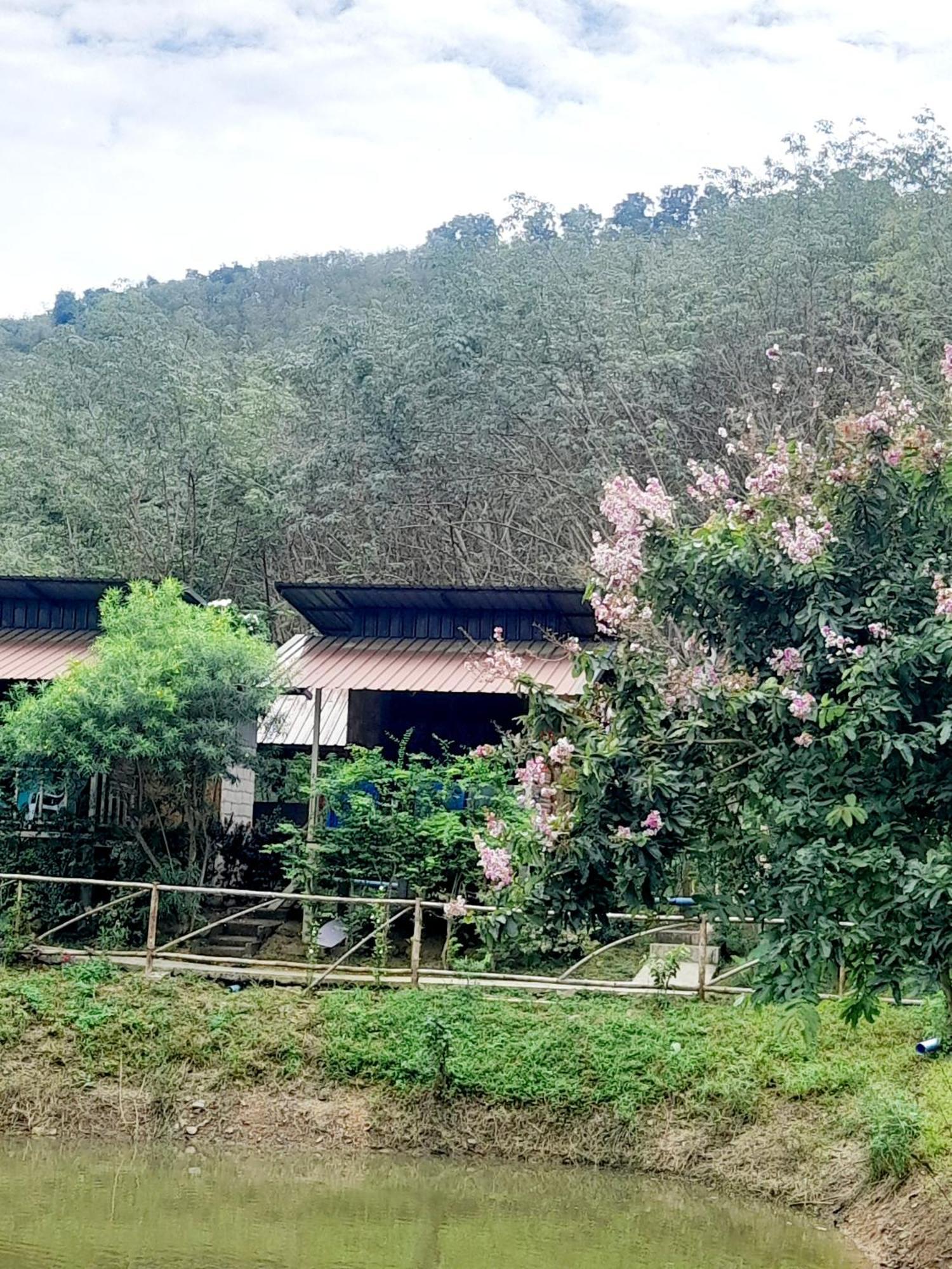 Koh Mook Bamboo Bungalows Экстерьер фото
